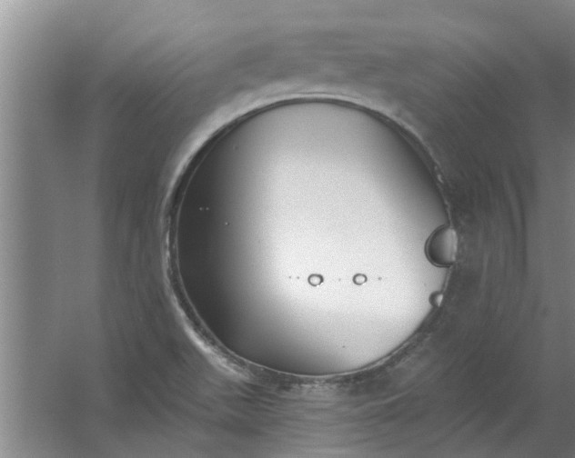 X0000059841511200511041759