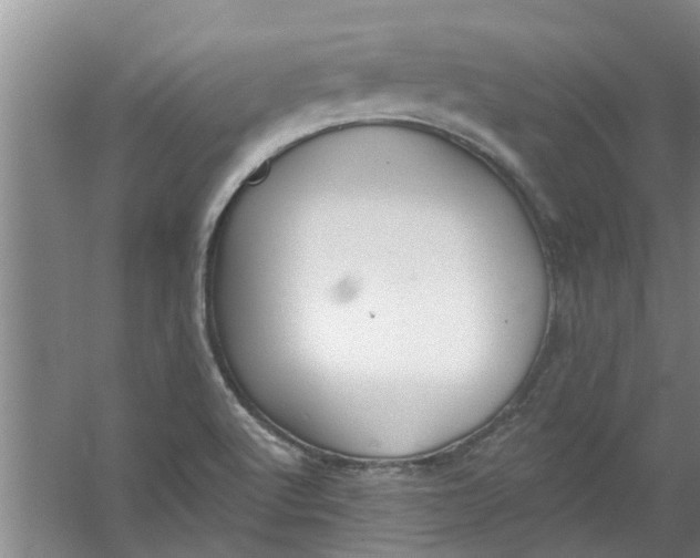 X0000059841512200511041759