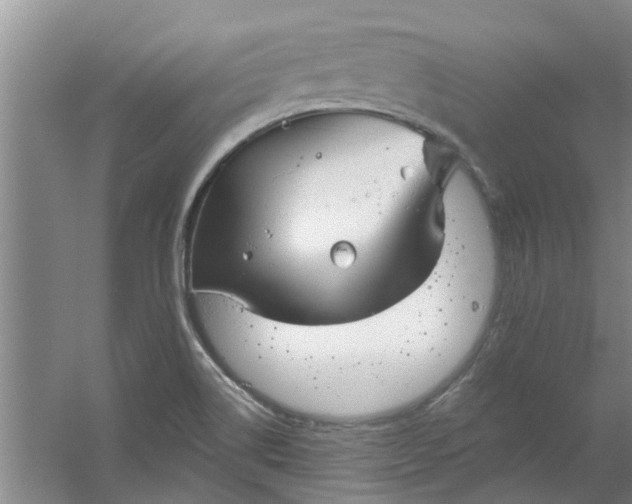 X0000059841514200511041759