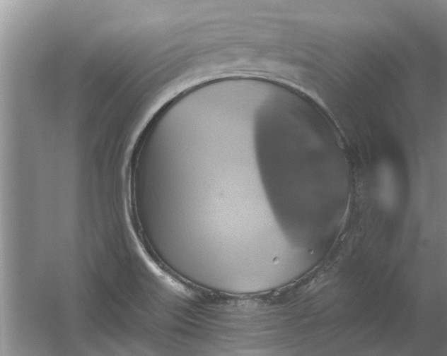 X0000059841515200511041759