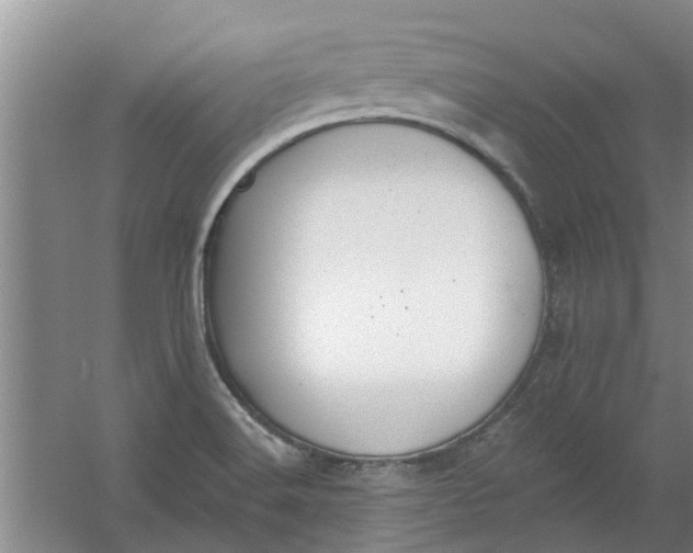 X0000059841516200511041759