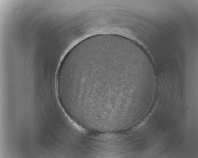 X0000059841517200511041759