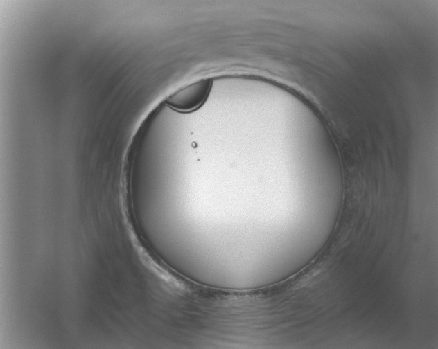 X0000059841518200511041759