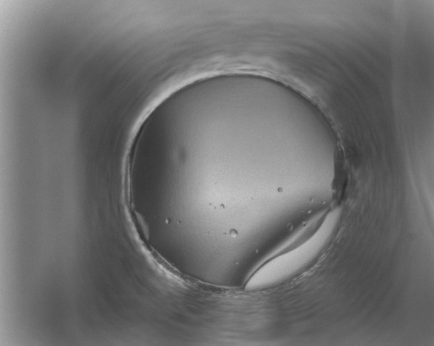 X0000059841520200511041759