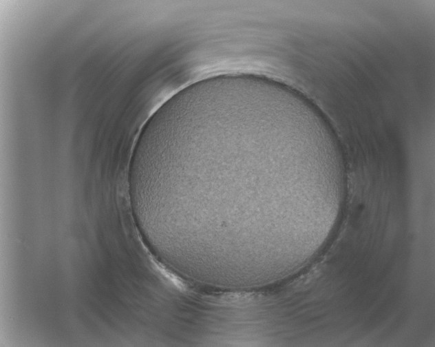 X0000059841521200511041759