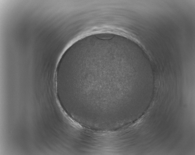 X0000059841522200511041759