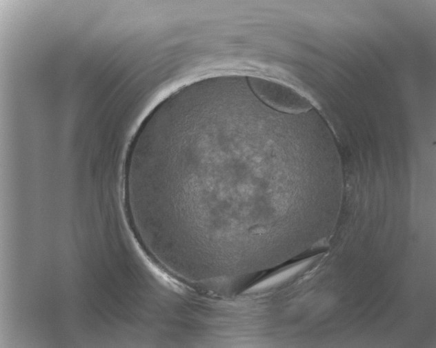 X0000059841523200511041759