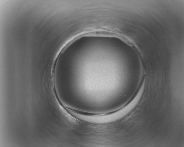 X0000059841524200511041759