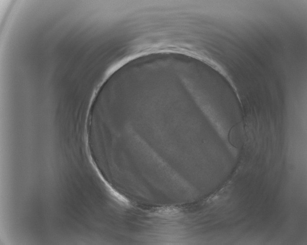 X0000059841525200511041759