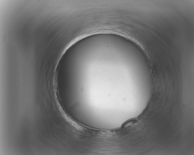 X0000059841526200511041759