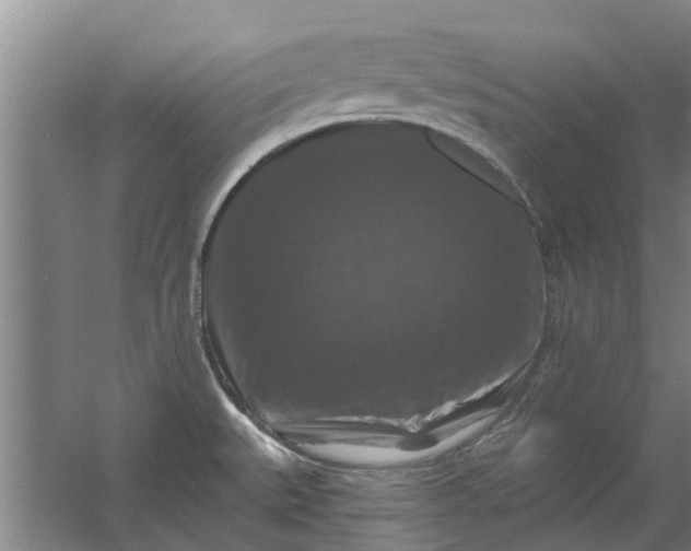 X0000059841527200511041759