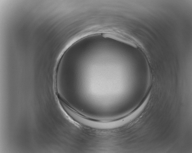 X0000059841528200511041759