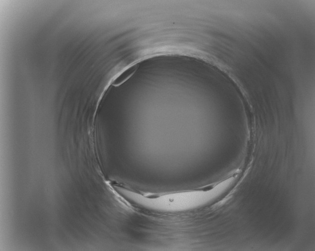 X0000059841529200511041759