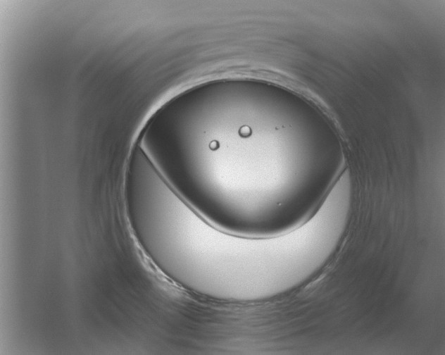 X0000059841530200511041800