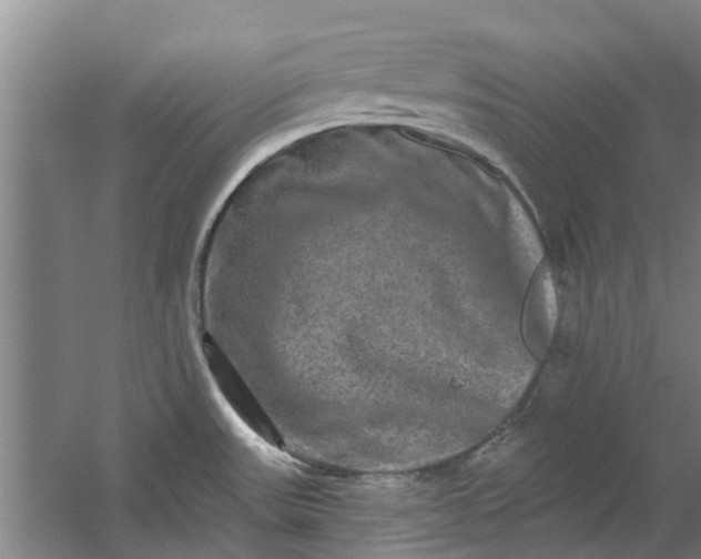 X0000059841531200511041800