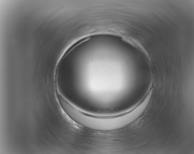 X0000059841532200511041800