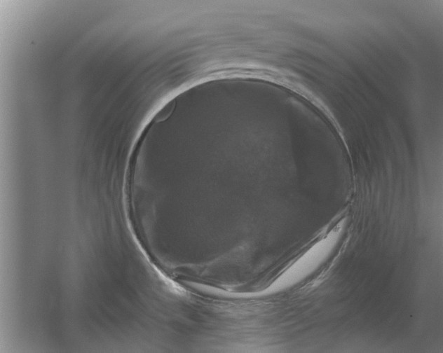 X0000059841533200511041800