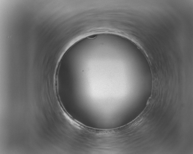 X0000059841535200511041800