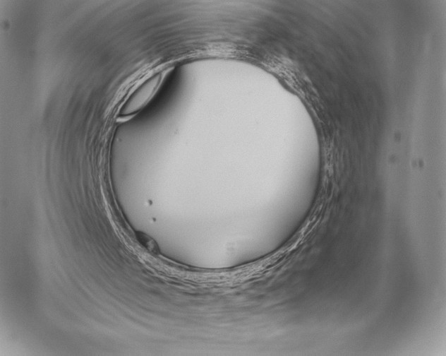 X0000059840001200511111756