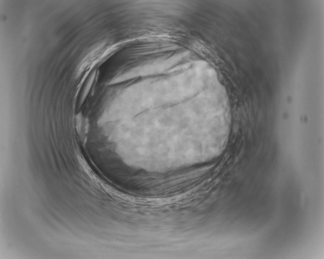 X0000059840002200511111756