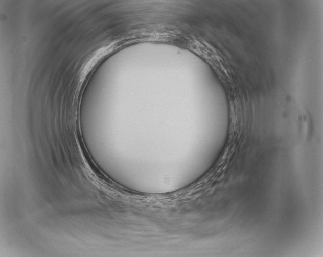 X0000059840003200511111756