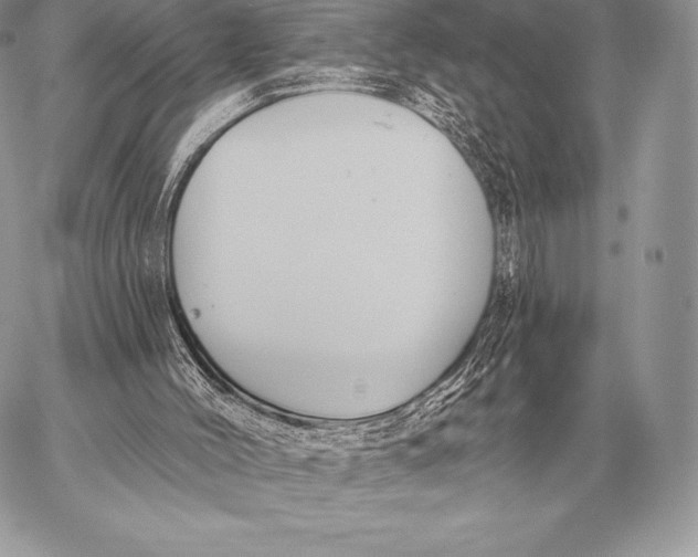 X0000059840004200511111756