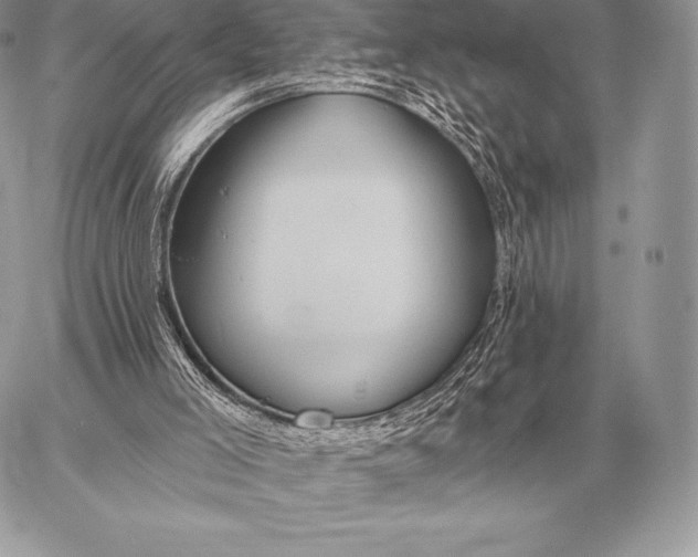 X0000059840005200511111756