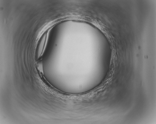 X0000059840007200511111756