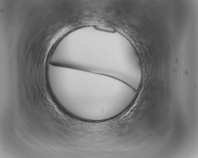 X0000059840008200511111756