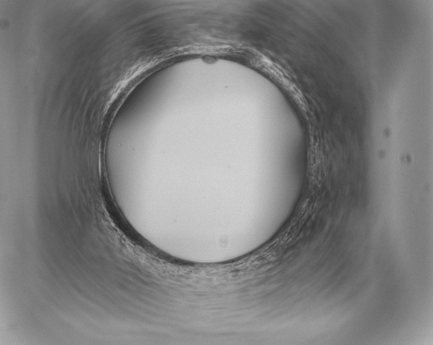 X0000059840011200511111756