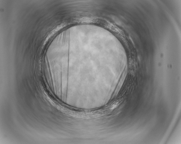 X0000059840012200511111756