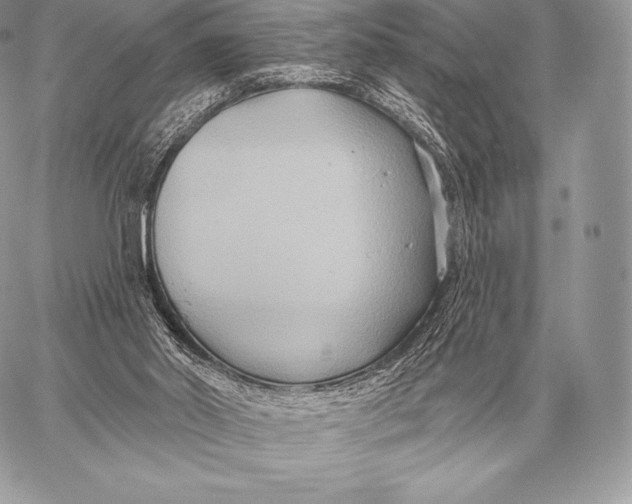 X0000059840014200511111756