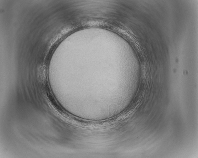 X0000059840016200511111756