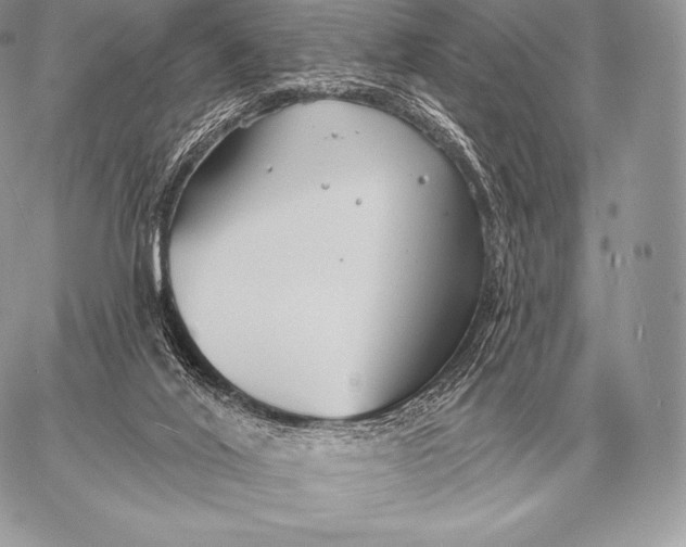 X0000059840020200511111756