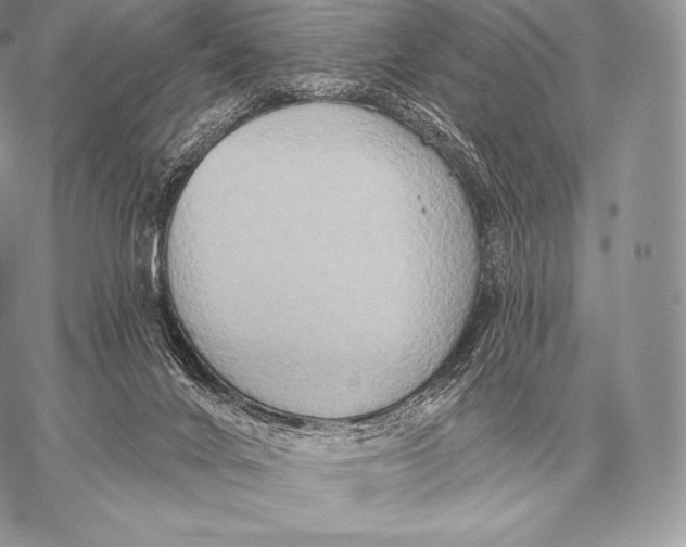 X0000059840024200511111756