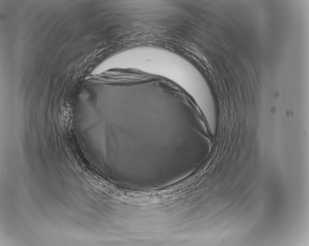 X0000059840029200511111756