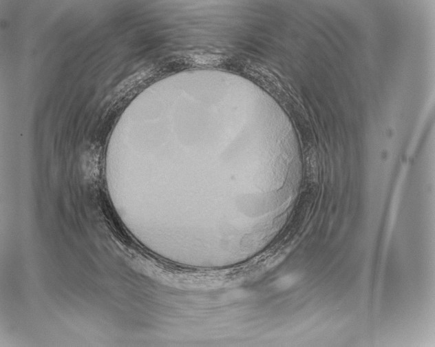 X0000059840032200511111756