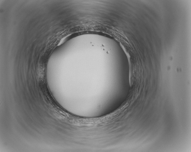 X0000059840033200511111756