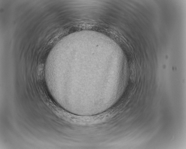 X0000059840034200511111756