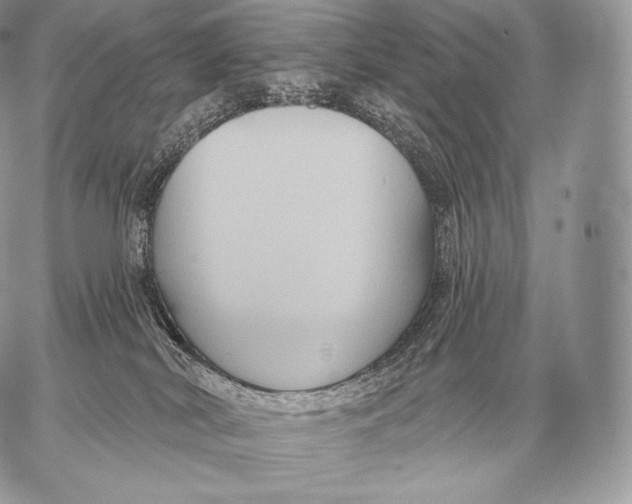 X0000059840038200511111756