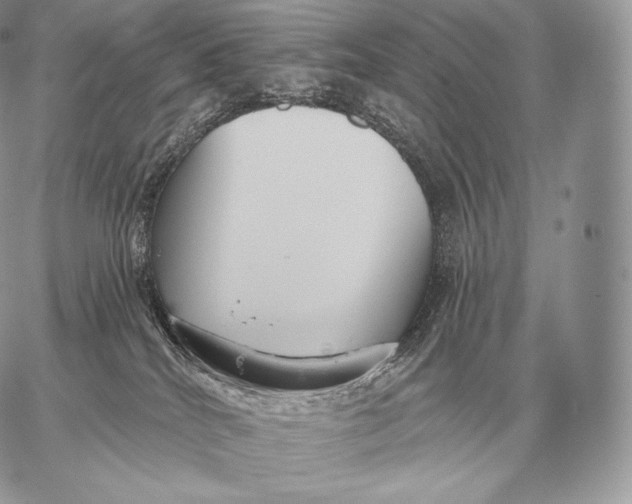 X0000059840040200511111756