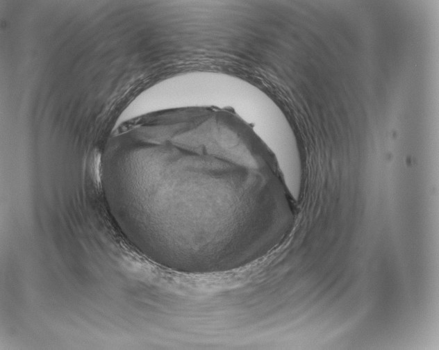 X0000059840041200511111756