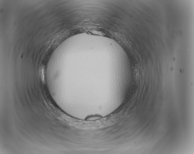 X0000059840042200511111756