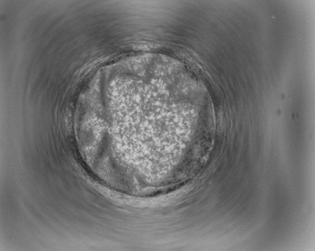 X0000059840043200511111756