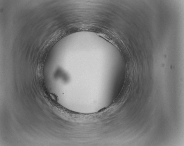 X0000059840044200511111756