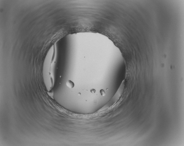 X0000059840045200511111756