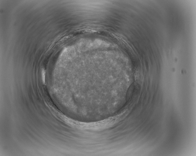 X0000059840046200511111756