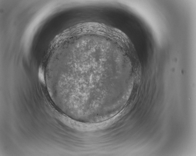 X0000059840047200511111756