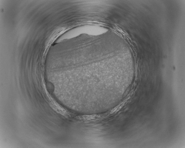 X0000059840049200511111755