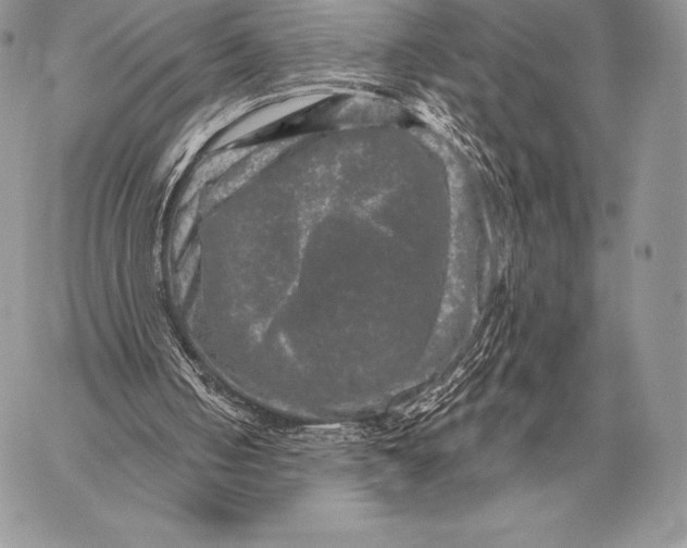 X0000059840050200511111755